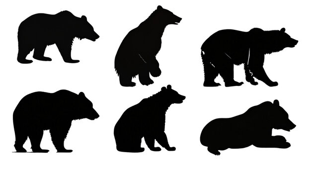 Bear silhouettes set, silhouette design isolated white background