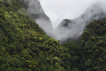 Mountains with green trees under cloudy sky in Thailand
