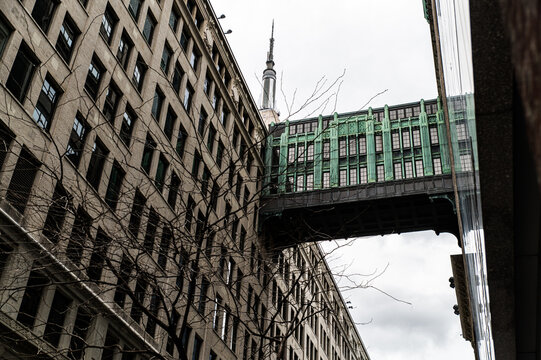 Green skywalk bridge suspended between two skyscrapers