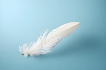 White isolated bird feather on blue background