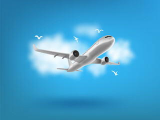 Fototapeta na wymiar Travel Concept. Plane And Seagulls In The Clouds