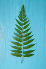 Green fern leaf on blue painted wooden surface