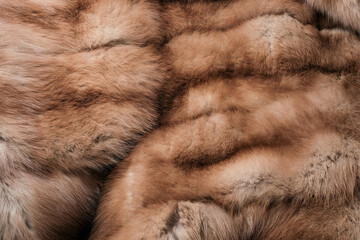 Fur coat from wild marten