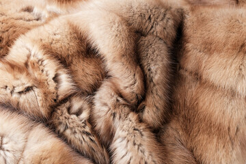 Texture of natural marten fur, luxury outerwear for women, soft fluffy surface of women's winter...