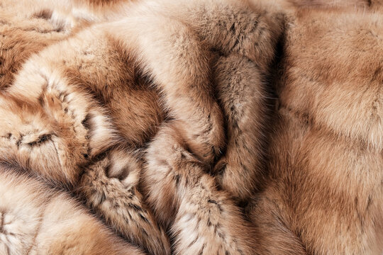 Texture of natural marten fur, luxury outerwear for women, soft fluffy surface of women's winter fur coat close-up for banners and posters
