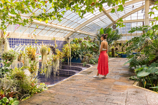 Exploring the lush greenery of Chapultepec's greenhouse