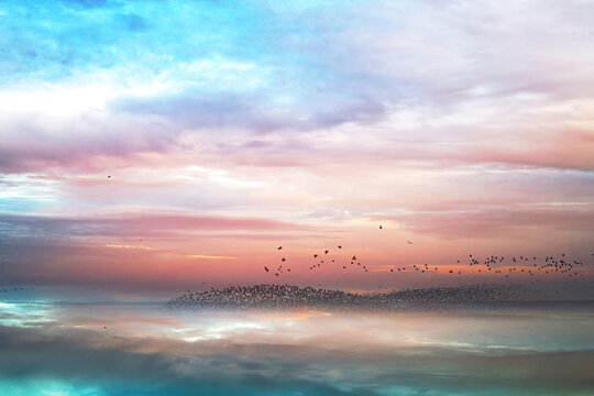 Serene sunset sky with flock of birds over sea