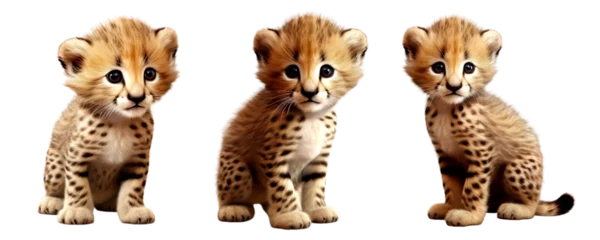 Tuinposter Set of baby cute leopard standing isolated on transparent or white background © NightTampa