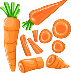set of carrots vector illustration for menu or recipe