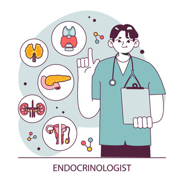 Endocrinology. Endocrine system organs, pancreas thyroid gland, pituitary, adrenal gland and ovaries. Hormones secretion and balance. Healthcare and medical treatment. Flat vector illustration