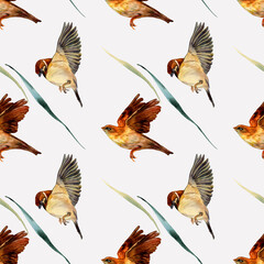 Seamless watercolor pattern with sparrows on a light background.
Wildlife. Endless ornament with flying birds. The fabric, texture, and background for bed linen, wallpapers, napkins, wrapping paper