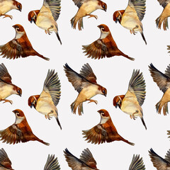 Seamless watercolor pattern with sparrows on a light background.
Wildlife. Endless ornament with flying birds. The fabric, texture, and background for bed linen, wallpapers, napkins,and wrapping paper