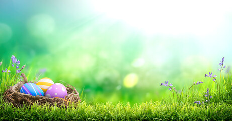 Three painted easter eggs in a birds nest celebrating a Happy Easter on a spring day with a green grass meadow, bright sunlight background with copy space.