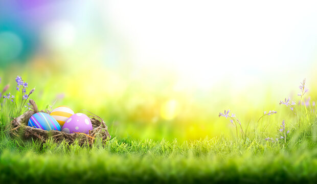 Three painted easter eggs in a birds nest celebrating a Happy Easter on a spring day with a green grass meadow and blurred grass foreground and bright sunlight background with copy space.