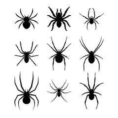 vector spider