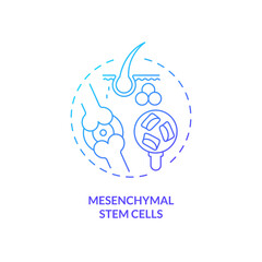 2D gradient mesenchymal stem cells icon, simple isolated vector, thin line blue illustration representing cell therapy.