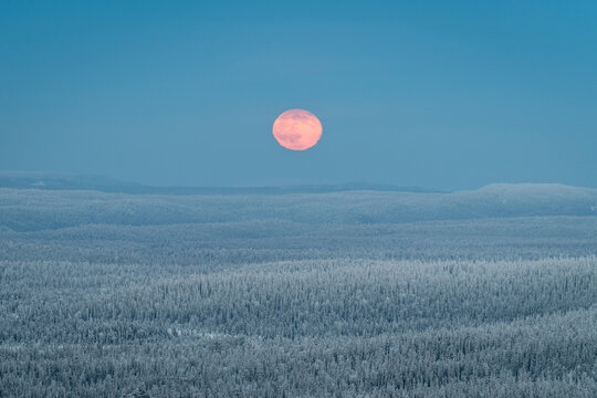 View from Kuntivaara Fell of full moon rising over the Taiga forests of Russia, Finland