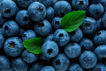 Fresh raw organic blueberries with green leaf. Food concept.