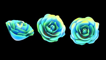 3d render roses bloom
