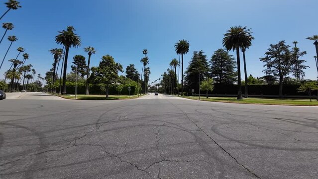 Beverly Hills Beverly Dr Northbound Palm Trees Rear View 04 at Will Rogers Park Driving Plate California USA Ultra Wide