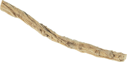 dang shen cut out on transparent background.