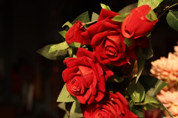 Closeup shot of couple of artificial Roses flowers under sunlight or sunrays