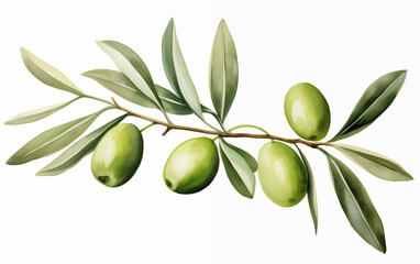 Watercolor painting of Olive clipart on a white background.
