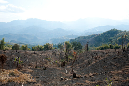 Desecration across beautiful Naga hills from the government slash and burn system, to improve land for cultivation, Nagaland, India