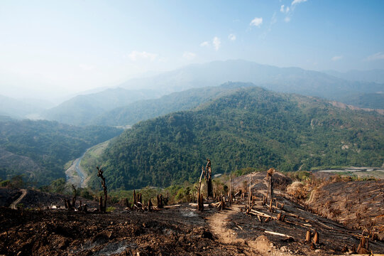 Green Naga hills stretching into the distance, scarred by brown scorched hill after slash and burn system has occurred, Nagaland, India