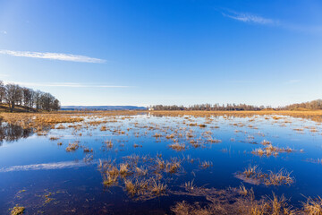View at a beautiful flooded wetland in springtime