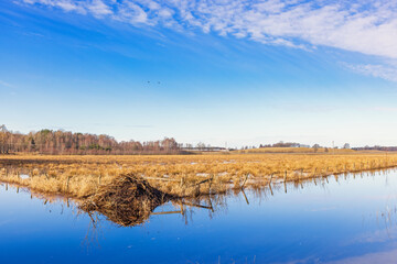 Water canal with a beaver lodge in a meadow landscape © Lars Johansson