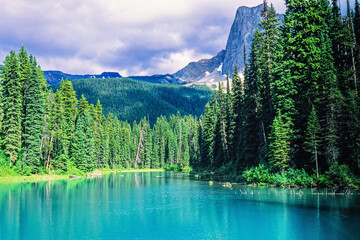 Mountain lake in a spruce forest