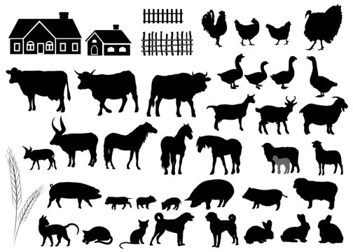 Silhouettes of domestic animals and farm objects. Vector illustration.