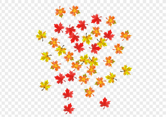 Green Plant Background Transparent Vector. Floral Season Frame. Autumnal Canadian Foliage. Nature Leaf Template.