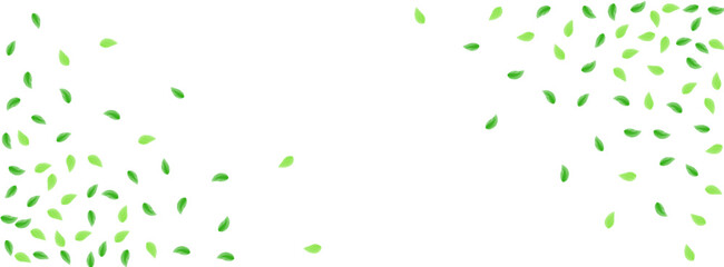 Green Vegetation Background White Vector. Sheet Beauty Illustration. Creative Card. Light Green Icon Design. Greenery Motion.