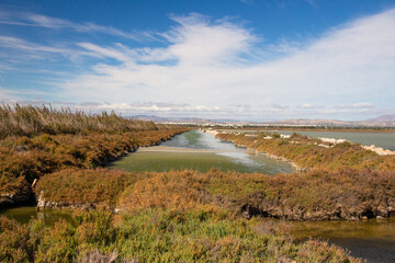 Alicante - Santa Pola - Paisaje de las salinas