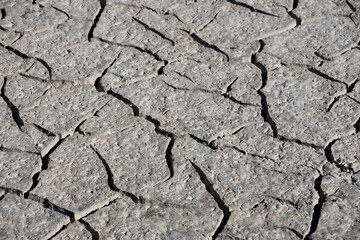 Terreno cuarteado por condiciones climáticas extremas debidas a la sequía.