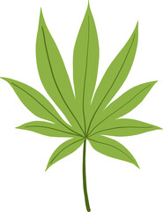 Fototapeta na wymiar simplicity cannabis leaf freehand drawing flat design.