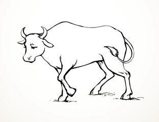 Vector drawing. Cute big cow