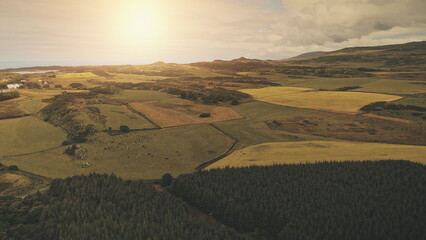 Sun pine forest, cereal fields aerial. Nobody nature landsape. Countryside farmland meadows,...