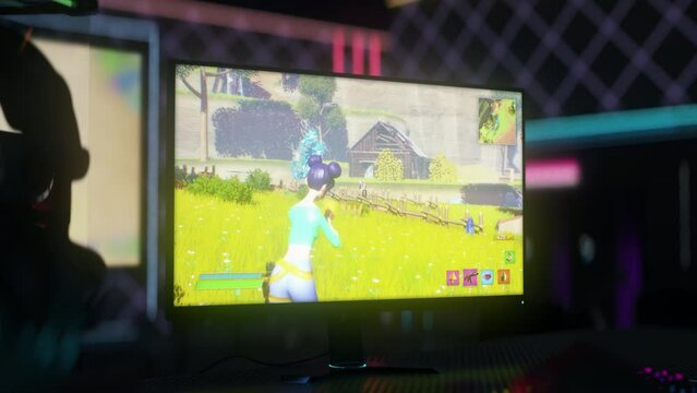 Fun Battle Royale Third-Person Shooter Computer Game Animation. Playing As Female Character In Fun Shooter Game. Streaming Online Match In Fun Shooter Game. Double Kill. Action. Win