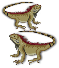 Brown Iguana illustration
