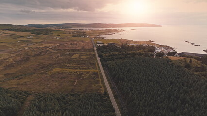 Slow motion whiskey distillery at sun ocean bay aerial. Autumn pine trees forest at road. Rural...