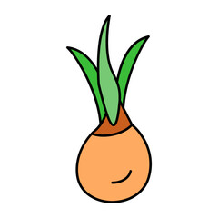 Scallions with roots Concept, large bulb of  spring onions vector outline icon design, Condiments and Spices symbol, Food cooking ingredients Sign, Herbs and table sauce stock illustration