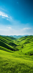 green field and blue sky