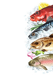 Fresh raw fish on the ice Seafood concept  Hand drawn watercolor illustration,  isolated on white background
