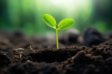 Fototapeta premium Close-Up Of Fresh Green Plant and green seed growing AI Generated