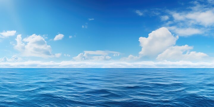 Vast ocean background, providing a serene blue canvas.