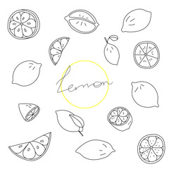Lemon set. Vector illustration in doodle style.