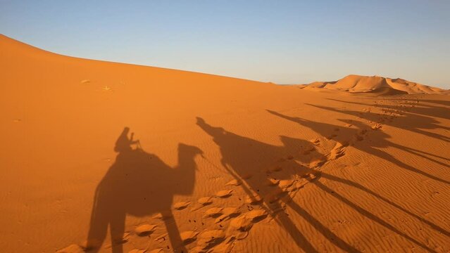 Shadows of tourists on camels at dawn in Merzouga desert